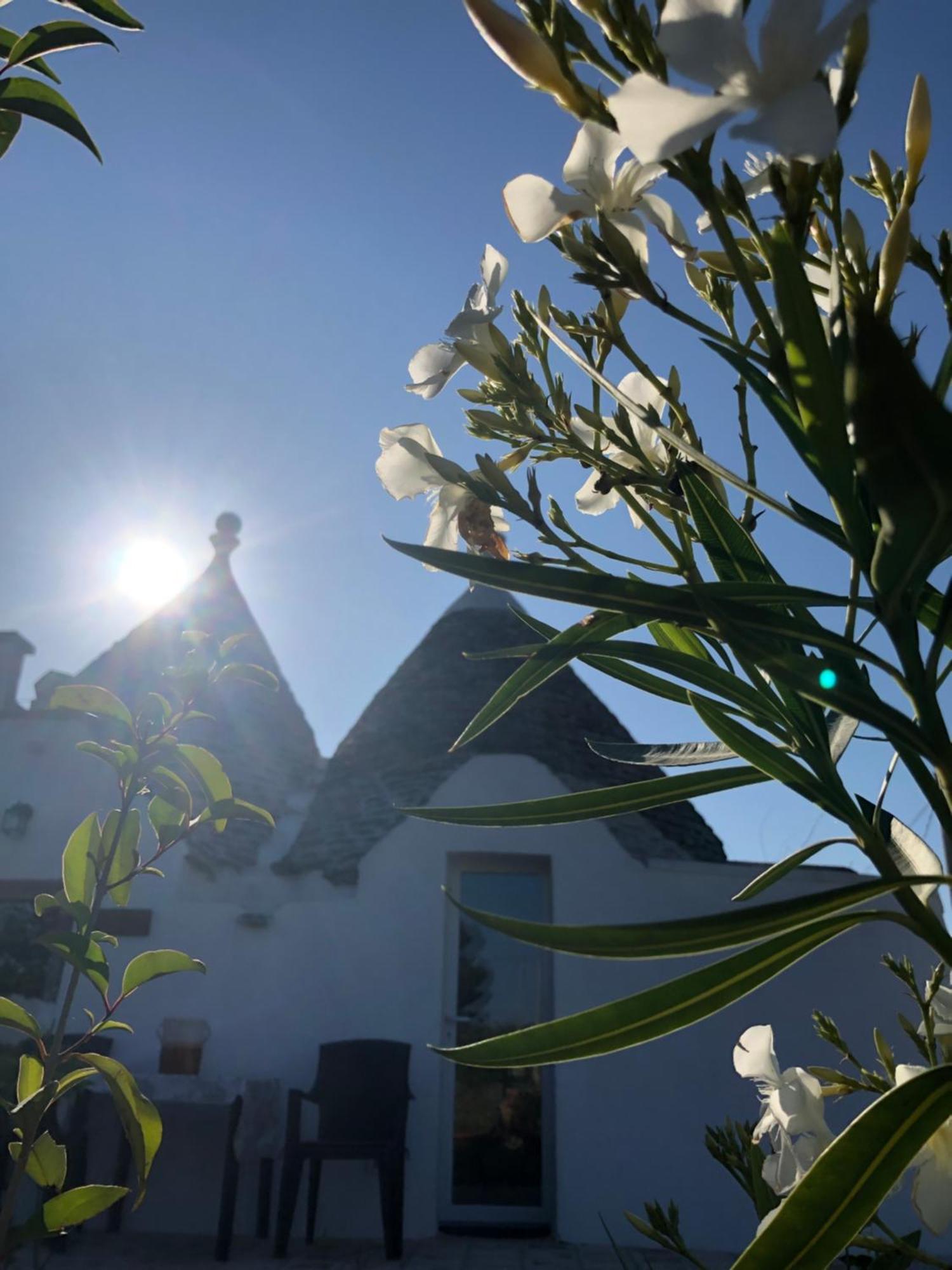 Trullo Trilli Puglia Villa Martina Franca Exteriör bild