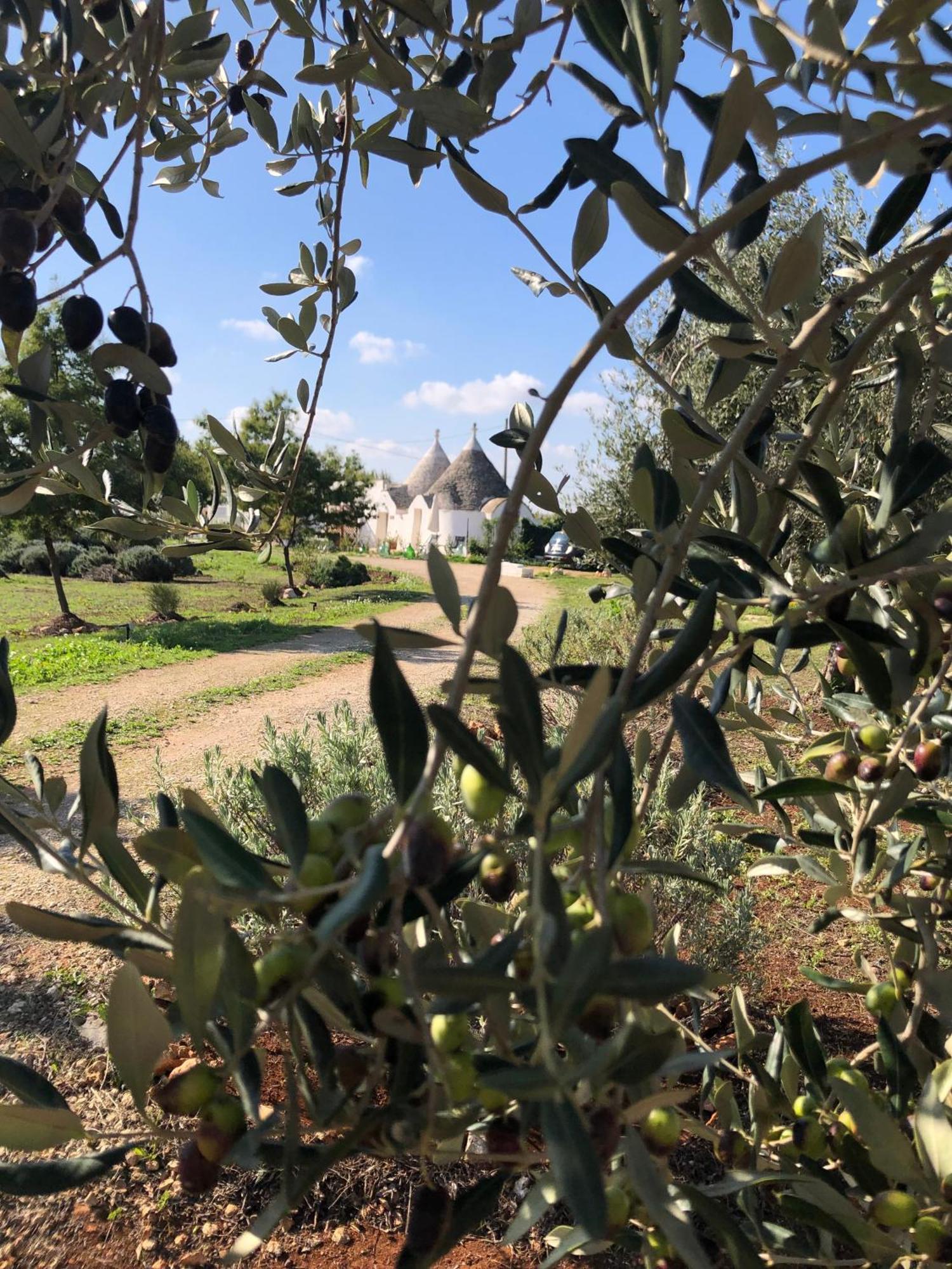 Trullo Trilli Puglia Villa Martina Franca Exteriör bild