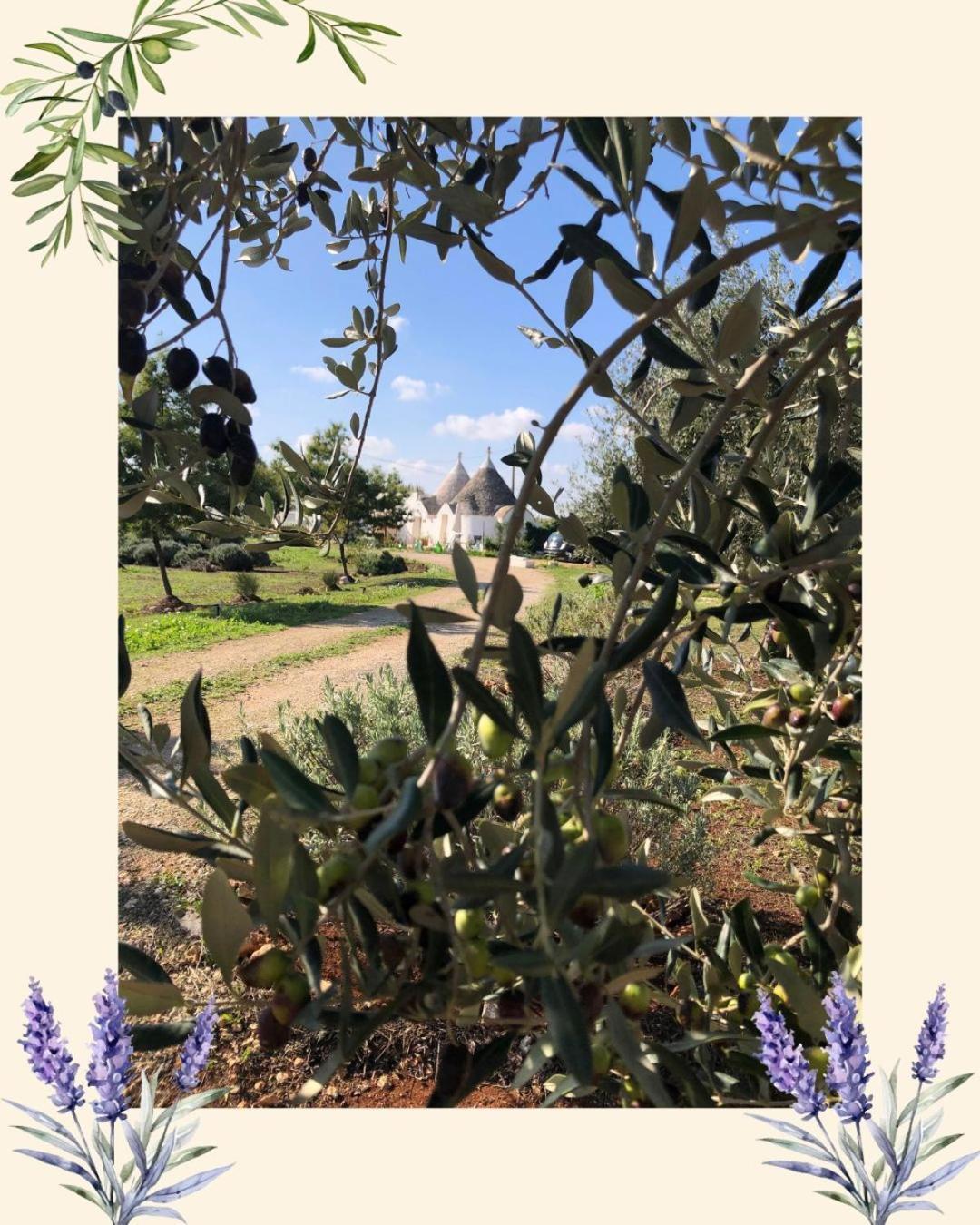 Trullo Trilli Puglia Villa Martina Franca Exteriör bild
